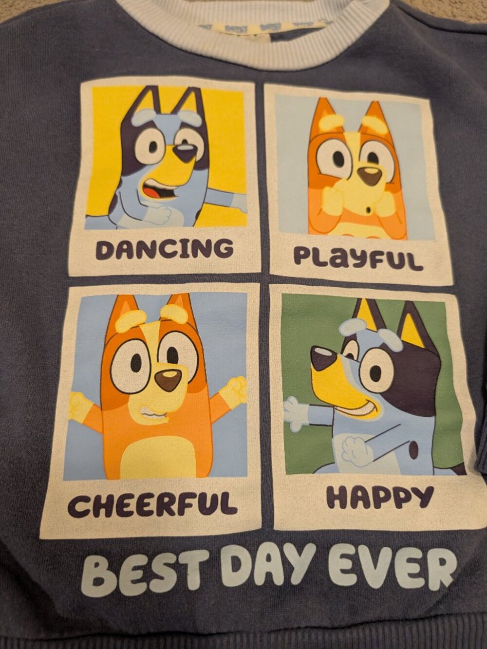 Bluey Sweatshirt - Picture 5 of 7